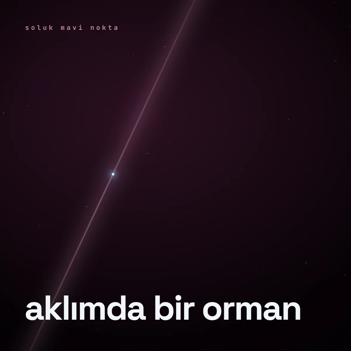 Aklımda Bir Orman