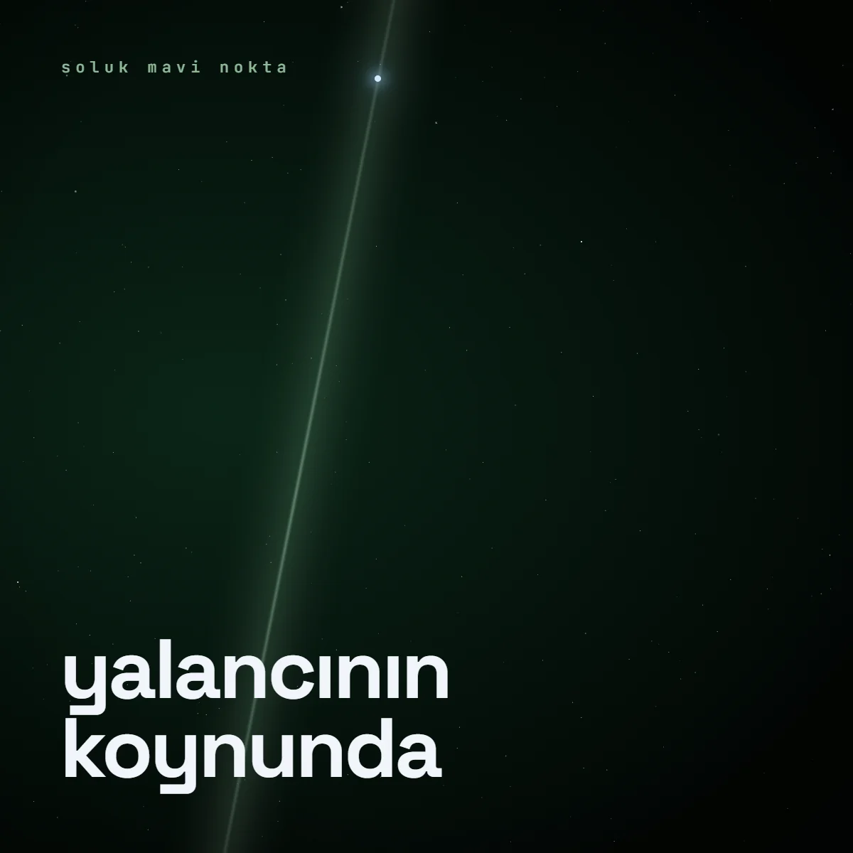 Yalancının Koynunda